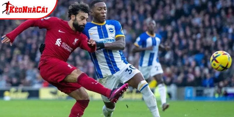 Brighton vs Liverpool không còn lạ nhau Brighton vs Liverpool không còn lạ nhau