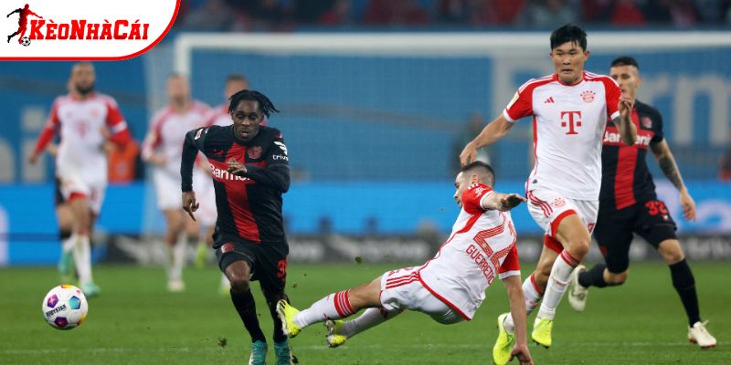 Thành tích so tài giữa Bayer Leverkusen vs Bayern Munich
