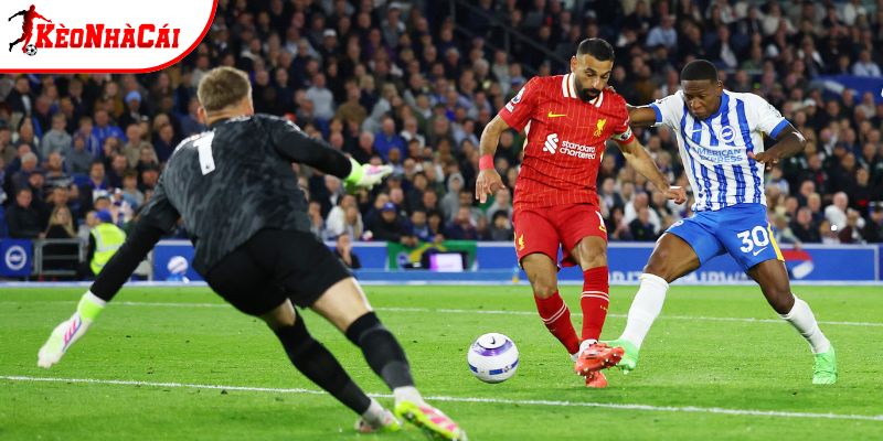 Brighton vs Liverpool có thành tích đối đầu khá cân bằng Brighton vs Liverpool có thành tích đối đầu khá cân bằng