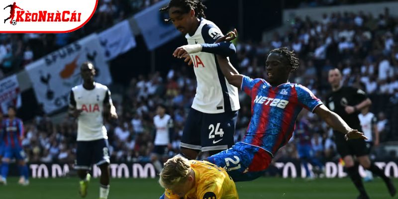 Thành tích so tài khá cân bằng Thành tích so tài khá cân bằng