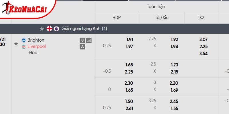 Tỷ lệ kèo Brighton vs Liverpool Tỷ lệ kèo Brighton vs Liverpool