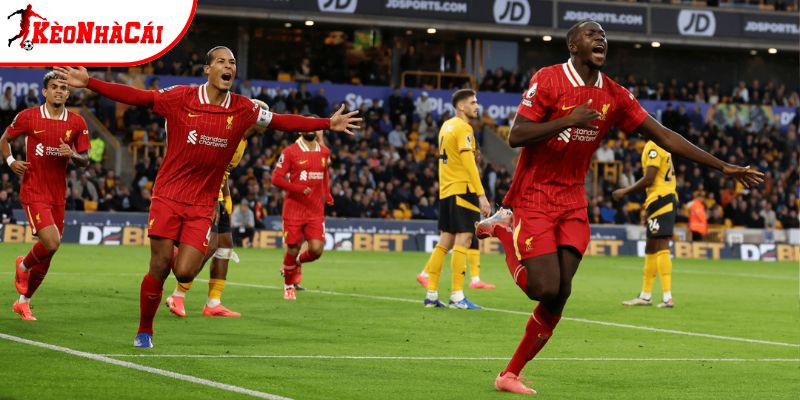 Wolves vs Liverpool có sự chênh lệch về kết quả đối đầu Wolves vs Liverpool có sự chênh lệch về kết quả đối đầu