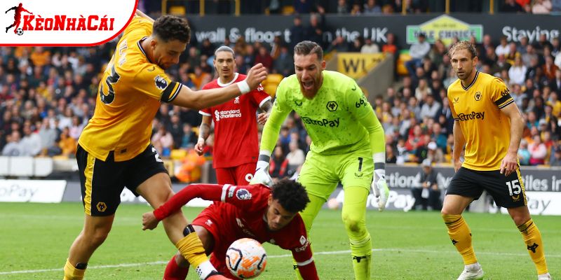 Wolves vs Liverpool đang nằm ở 2 đầu BXH Wolves vs Liverpool đang nằm ở 2 đầu BXH